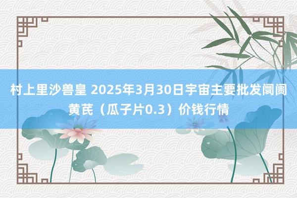 村上里沙兽皇 2025年3月30日宇宙主要批发阛阓黄芪（瓜子片0.3）价钱行情