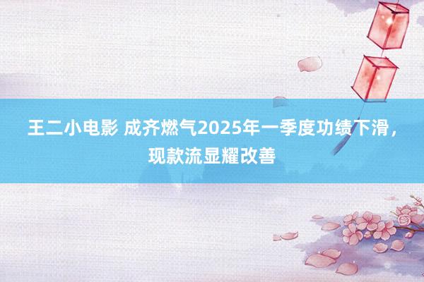 王二小电影 成齐燃气2025年一季度功绩下滑，现款流显耀改善