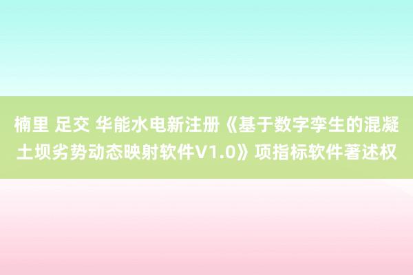 楠里 足交 华能水电新注册《基于数字孪生的混凝土坝劣势动态映射软件V1.0》项指标软件著述权