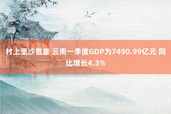 村上里沙兽皇 云南一季度GDP为7490.99亿元 同比增长4.3%