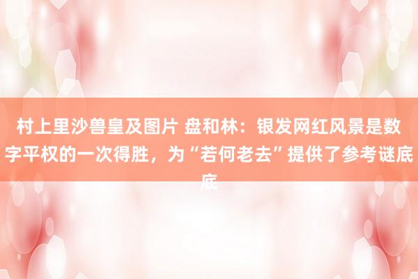 村上里沙兽皇及图片 盘和林：银发网红风景是数字平权的一次得胜，为“若何老去”提供了参考谜底