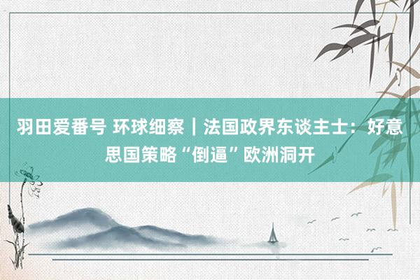羽田爱番号 环球细察｜法国政界东谈主士：好意思国策略“倒逼”欧洲洞开
