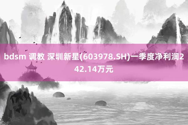 bdsm 调教 深圳新星(603978.SH)一季度净利润242.14万元