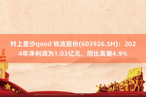 村上里沙qvod 铁流股份(603926.SH)：2024年净利润为1.03亿元，同比高潮4.9%
