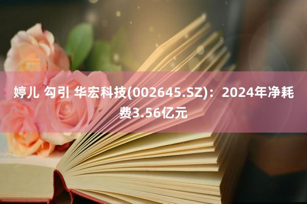 婷儿 勾引 华宏科技(002645.SZ)：2024年净耗费3.56亿元