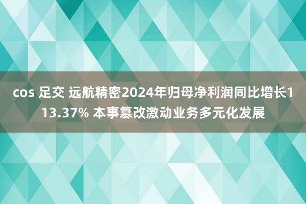 cos 足交 远航精密2024年归母净利润同比增长113.37% 本事篡改激动业务多元化发展